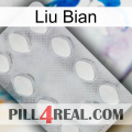 Liu Bian 16